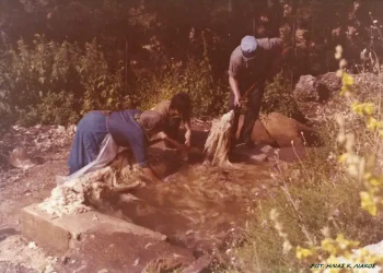 Το πλύσιμο και το στέγνωμα του μαλλιού